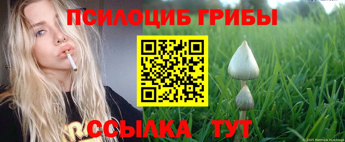 Псилоцибиновые грибы прущие грибы Свободный